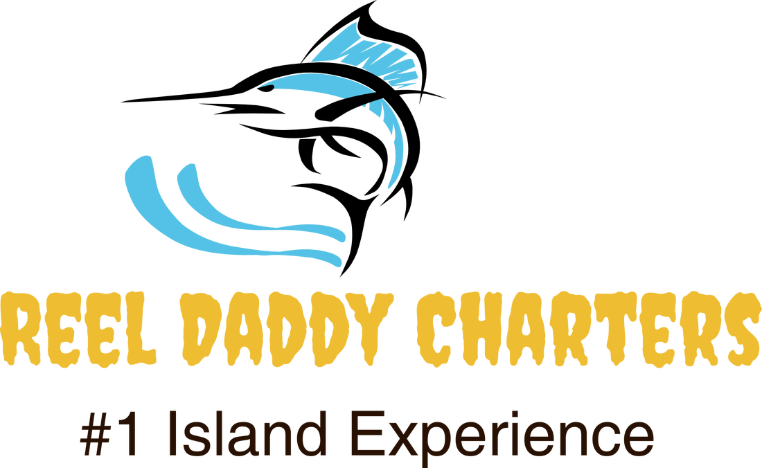 Reel Daddy Charters Logo